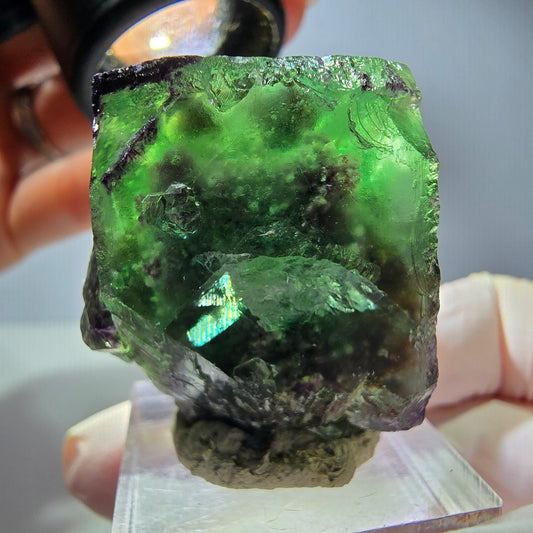 Rare spécimen cubique de fluorite fantôme, vert-violet, Okorusu, Namibie, 37*35*21 mm 