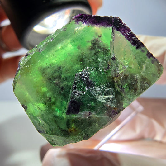 Rare spécimen cubique de fluorite fantôme, vert-violet, Okorusu, Namibie, 37*35*21 mm 