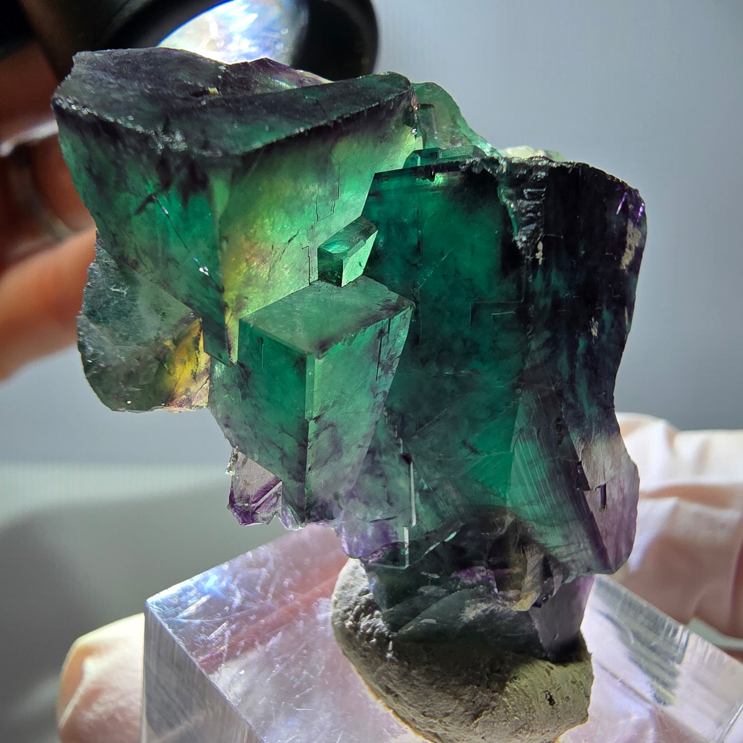 Seltene Phantom Fluorit Würfel Stufe, grün lila Okorusu, Namibia 45*36*19mm