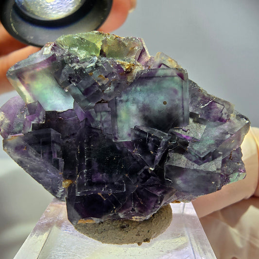 Rare spécimen de fluorite fantôme en forme de cube, vert-violet, Okorusu, Namibie, 42*31*16 mm 