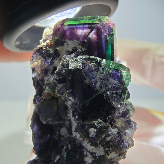 Rare spécimen cubique de fluorite fantôme, vert-violet, Okorusu, Namibie, 37*25*21 mm 