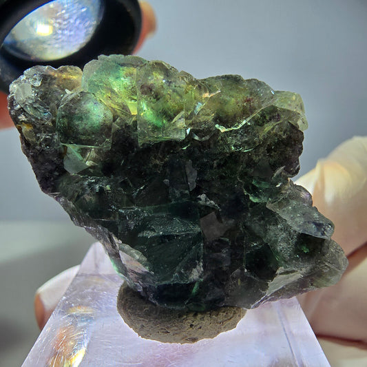 Rare spécimen cubique de fluorite fantôme, vert-violet, Okorusu, Namibie, 42*27*12 mm 