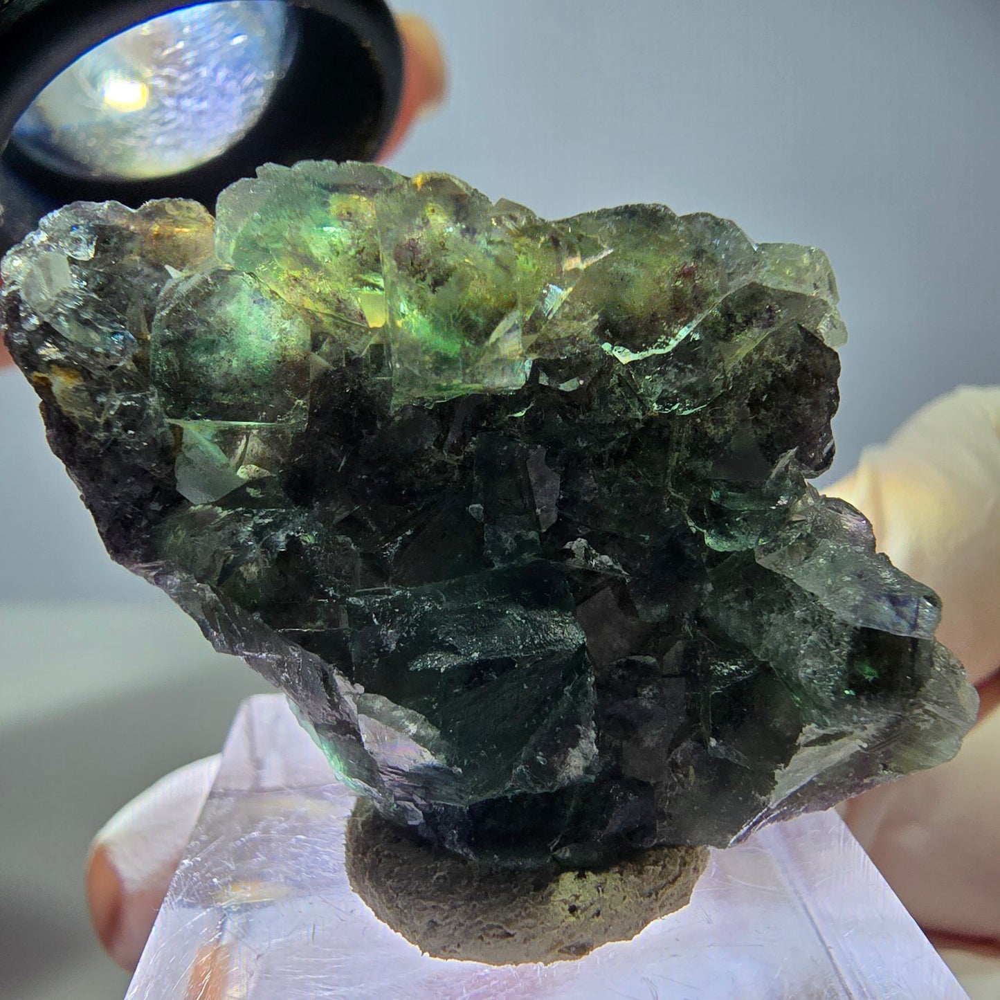 Seltene Phantom Fluorit Würfel Stufe, grün lila Okorusu, Namibia 42*27*12mm