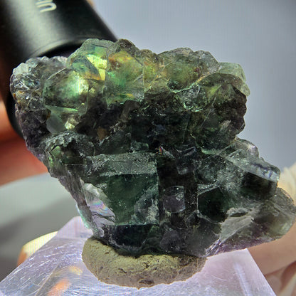 Seltene Phantom Fluorit Würfel Stufe, grün lila Okorusu, Namibia 42*27*12mm