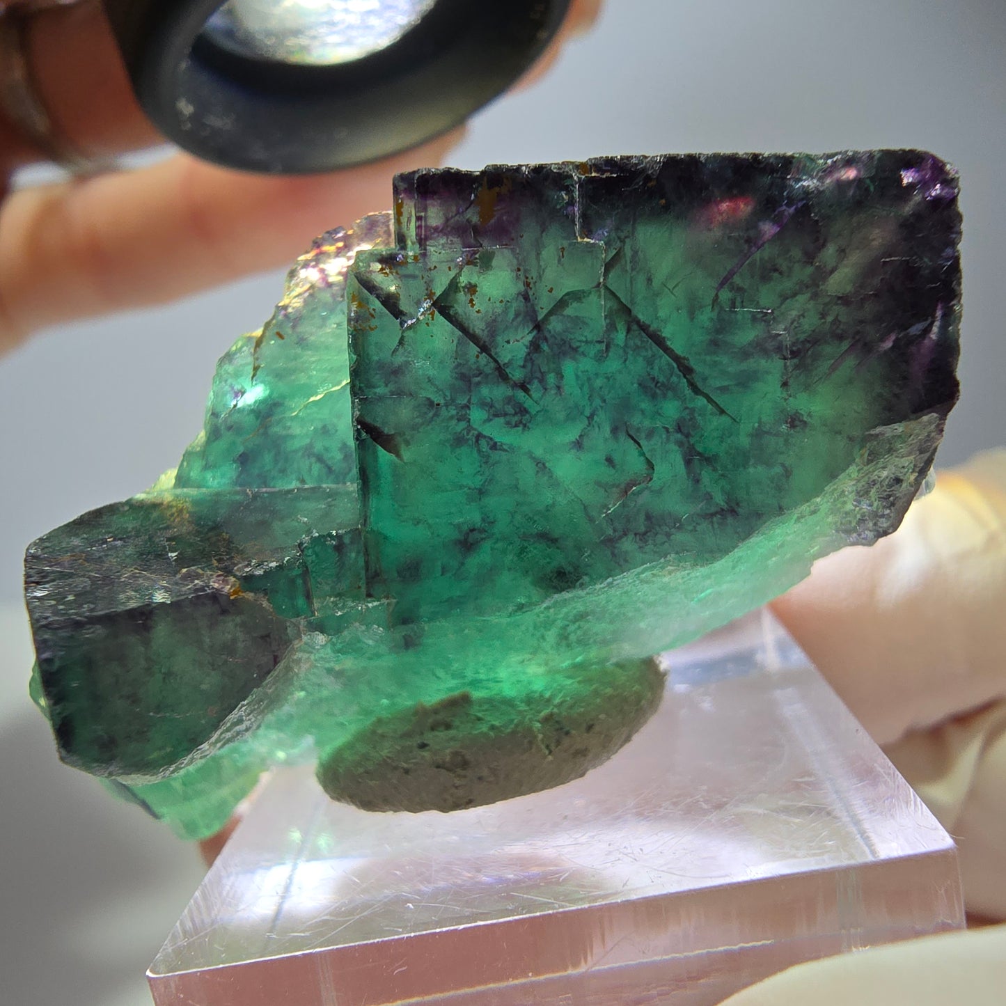 Seltene Phantom Fluorit Würfel Stufe, grün lila Okorusu, Namibia 50*24*25mm