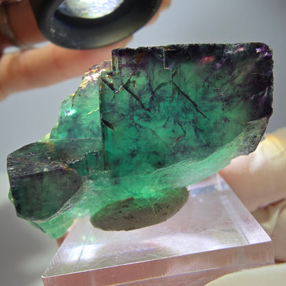 Seltene Phantom Fluorit Würfel Stufe, grün lila Okorusu, Namibia 50*24*25mm