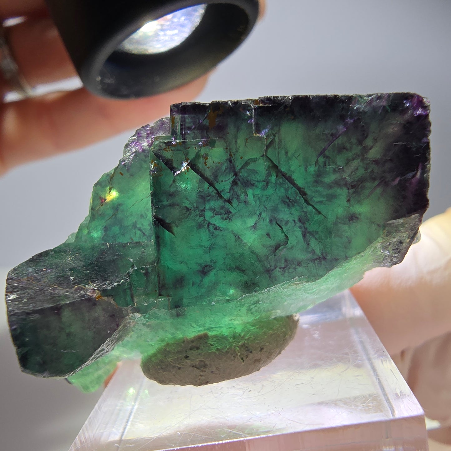 Seltene Phantom Fluorit Würfel Stufe, grün lila Okorusu, Namibia 50*24*25mm