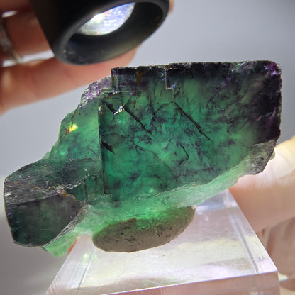 Seltene Phantom Fluorit Würfel Stufe, grün lila Okorusu, Namibia 50*24*25mm