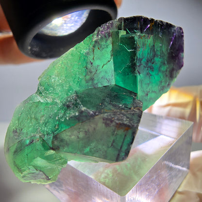 Seltene Phantom Fluorit Würfel Stufe, grün lila Okorusu, Namibia 50*24*25mm