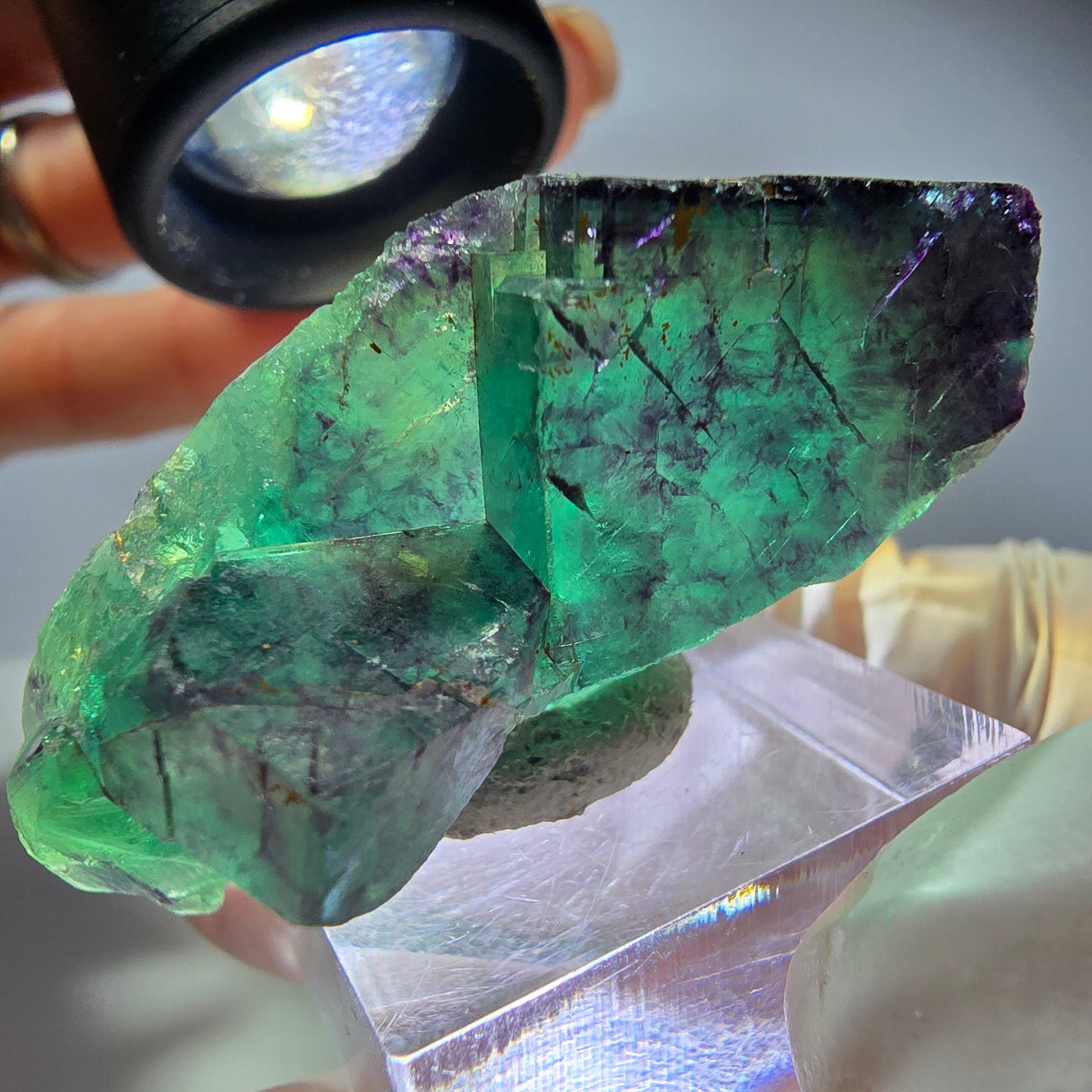 Seltene Phantom Fluorit Würfel Stufe, grün lila Okorusu, Namibia 50*24*25mm