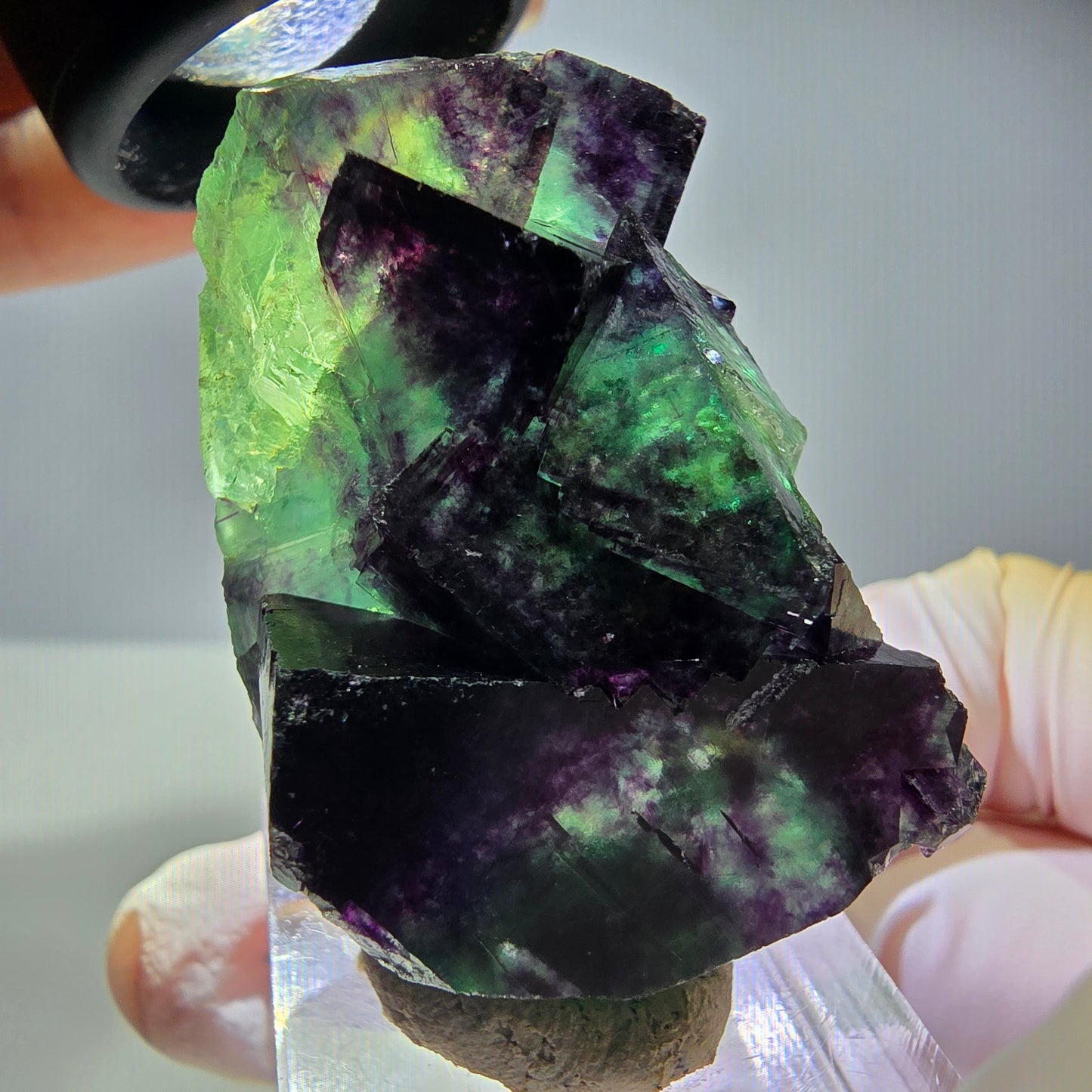 Seltene Phantom Fluorit Würfel Stufe, grün lila Okorusu, Namibia 43*32*21mm