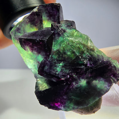 Seltene Phantom Fluorit Würfel Stufe, grün lila Okorusu, Namibia 43*32*21mm