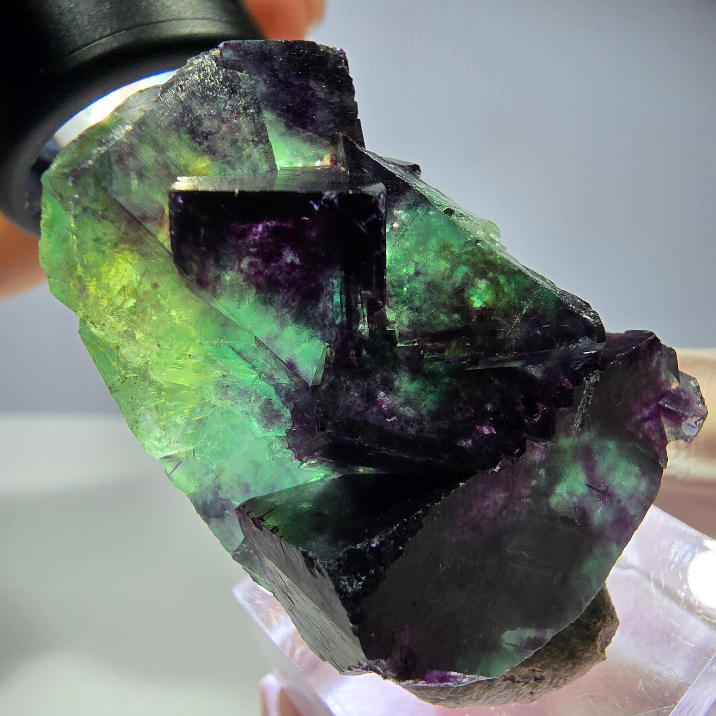 Seltene Phantom Fluorit Würfel Stufe, grün lila Okorusu, Namibia 43*32*21mm