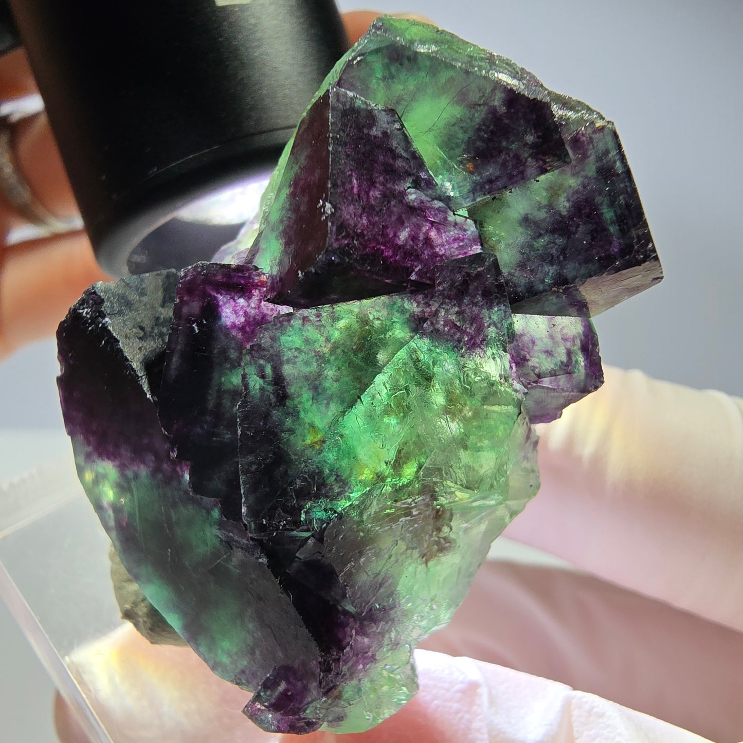 Seltene Phantom Fluorit Würfel Stufe, grün lila Okorusu, Namibia 43*32*21mm
