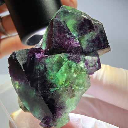 Seltene Phantom Fluorit Würfel Stufe, grün lila Okorusu, Namibia 43*32*21mm