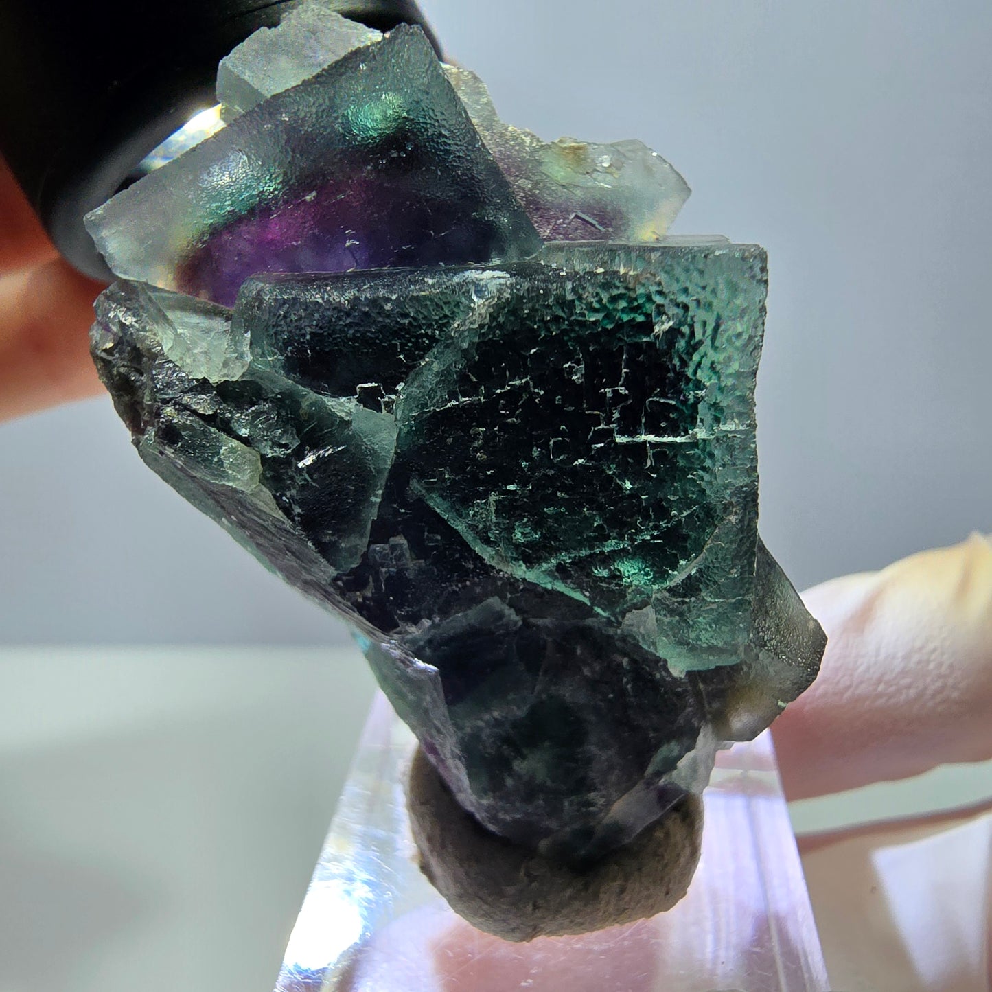 Seltene Phantom Fluorit Würfel Stufe, grün lila Okorusu, Namibia 51*35*20mm