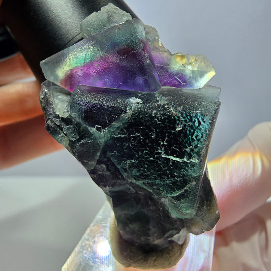 Rare spécimen cubique de fluorite fantôme, vert-violet, Okorusu, Namibie, 51*35*20 mm 