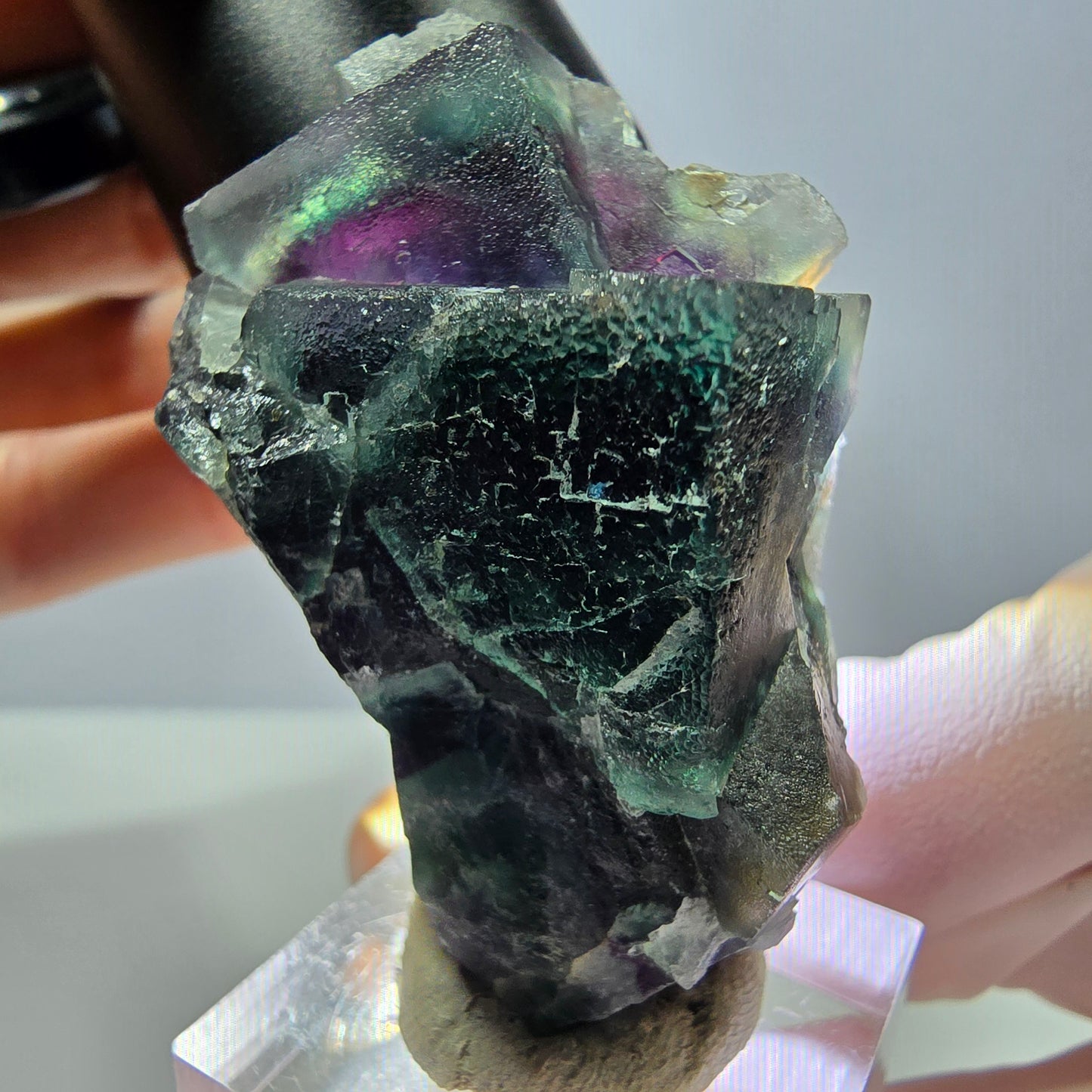 Seltene Phantom Fluorit Würfel Stufe, grün lila Okorusu, Namibia 51*35*20mm