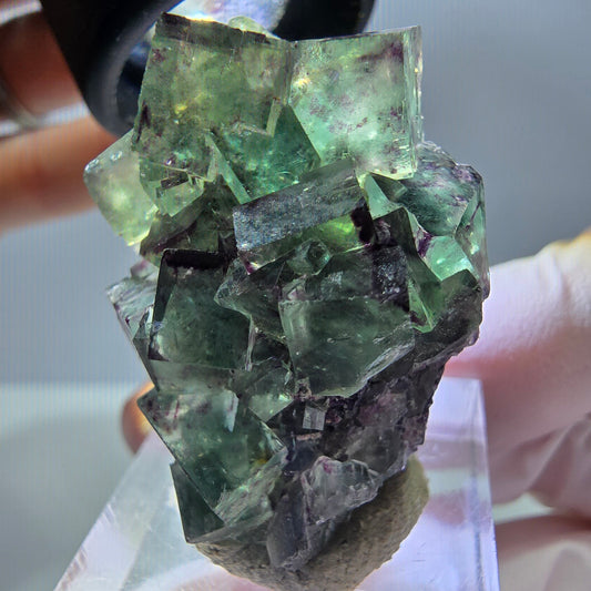 Rare spécimen cubique de fluorite fantôme, vert-violet, Okorusu, Namibie, 38*25*20 mm 