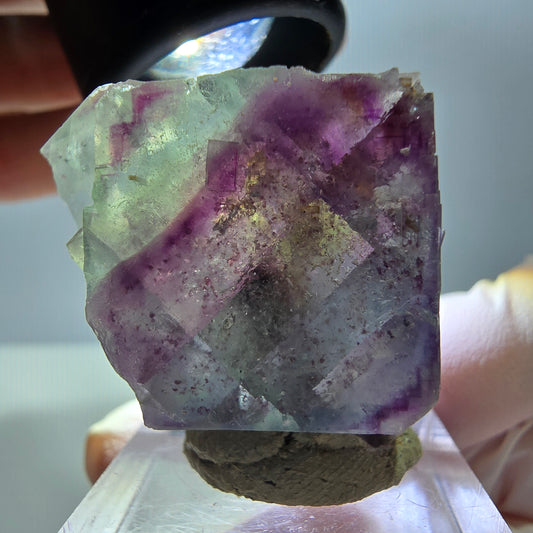 Rare spécimen cubique de fluorite fantôme, vert-violet, Okorusu, Namibie, 32*30*17 mm 