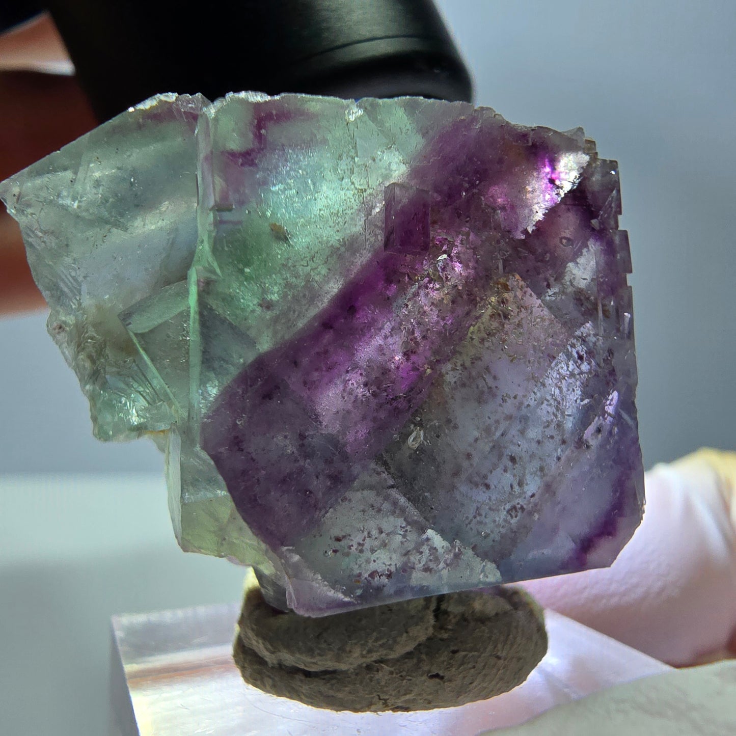 Seltene Phantom Fluorit Würfel Stufe, grün lila Okorusu, Namibia 32*30*17mm