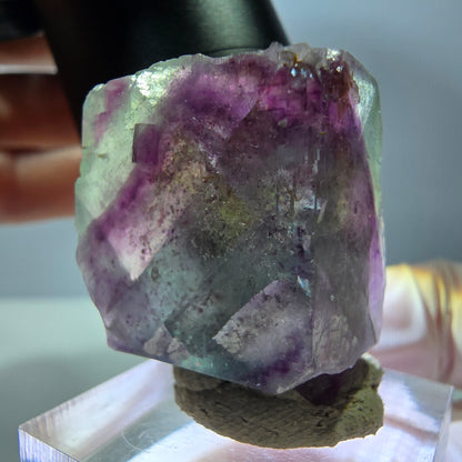 Seltene Phantom Fluorit Würfel Stufe, grün lila Okorusu, Namibia 32*30*17mm