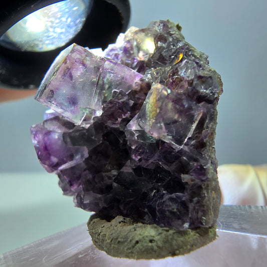 Rare spécimen cubique de fluorite fantôme, vert-violet, Okorusu, Namibie, 33*31*15 mm 