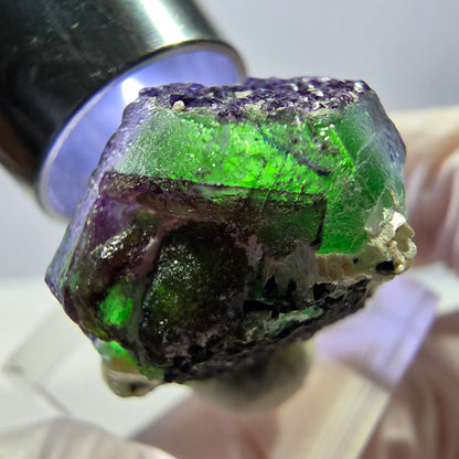 Cube hexagonal de fluorite fantôme, muscovite, tourmaline Schörl, Erongo, Namibie, 26 x 21 x 16 mm 