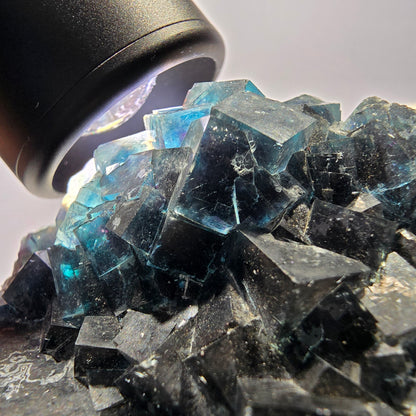 Grand spécimen de cube de fluorite fantôme zonal, nouvelle découverte ! Okorusu, Namibie, 97 x 62 x 36 mm 