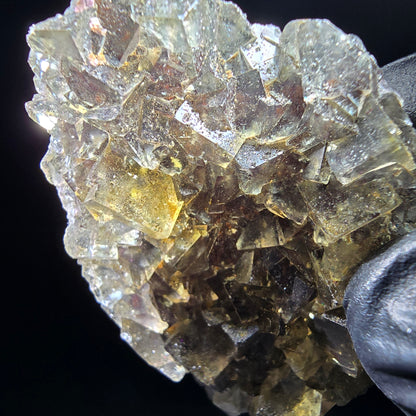 Honey Pocket Phantom Fluorite stage jaune violet Okorusu Namibie 49*37*11mm collection
