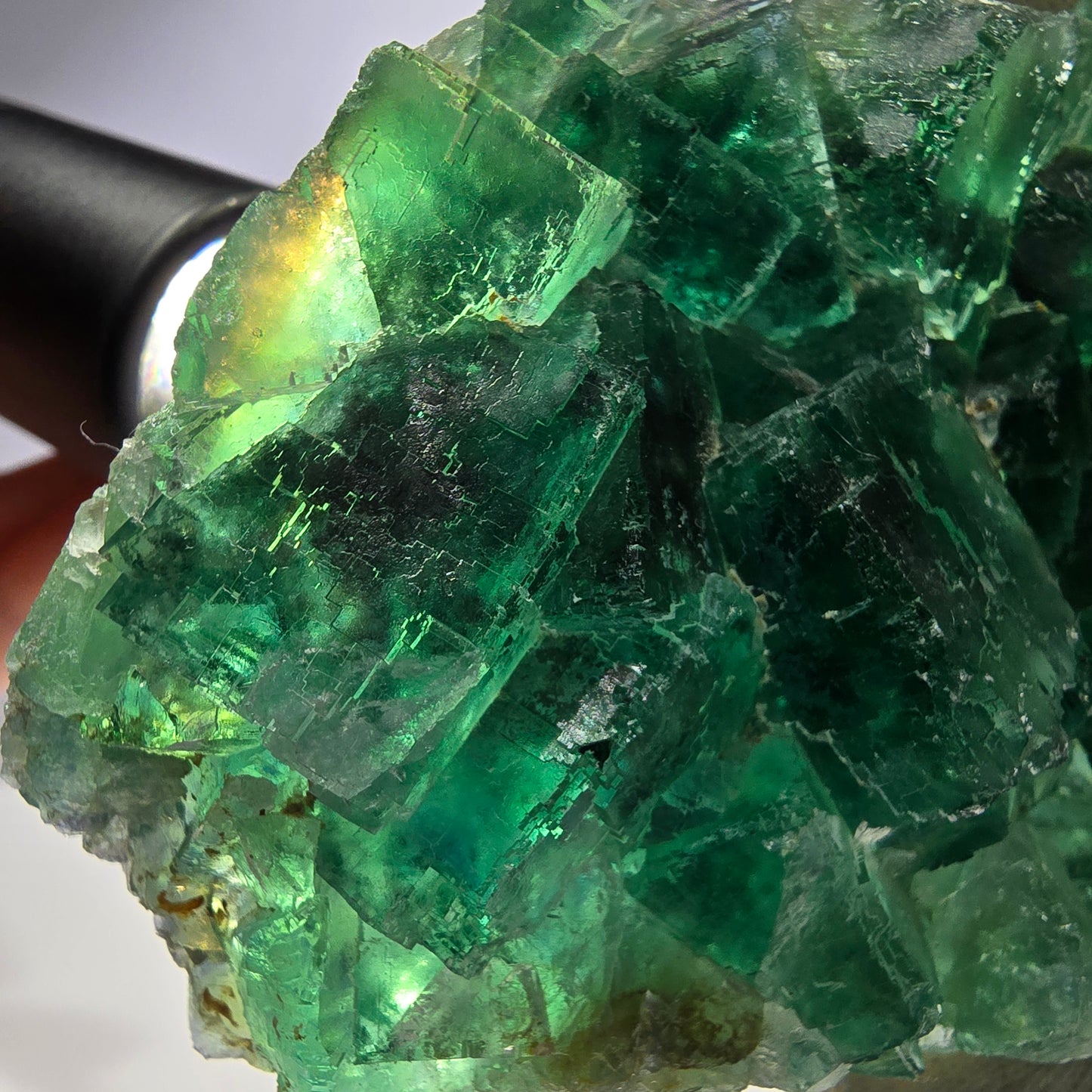 Grand cube de fluorite fantôme étagé vert violet Okorusu Namibie 100 x 75 x 29 mm 