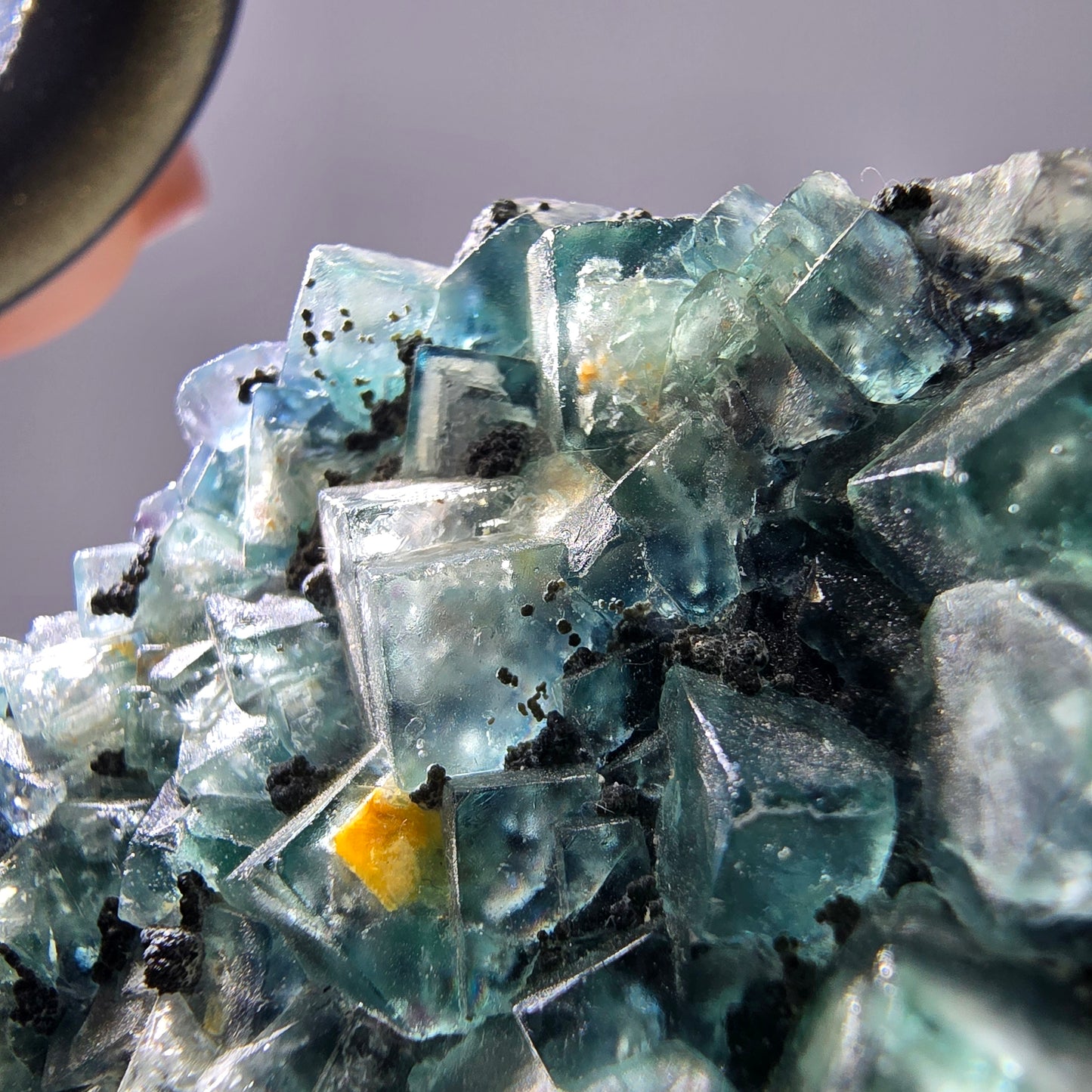 Cubes rares de fluorite fantôme zonale, vert violet, Erongo, Namibie 74 x 41 x 9 mm 