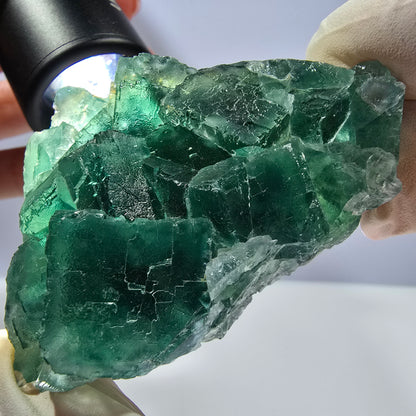 Rare spécimen de cube de fluorite fantôme, parqueté vert Okorusu, Namibie, 61 x 48 x 24 mm 