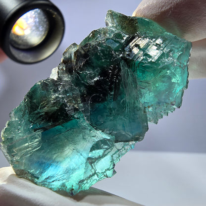 Spécimen de cube de fluorite fantôme transparente, parqueté vert Okorusu, Namibie 49 x 31 x 31 mm 
