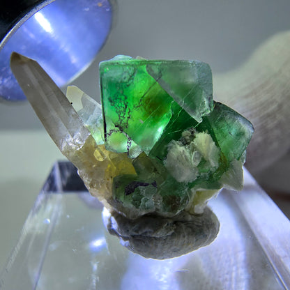 Cube de fluorite fantôme zonal, quartz fumé, spécimen de muscovite, Erongo, Namibie, 19 x 15 x 12 mm 