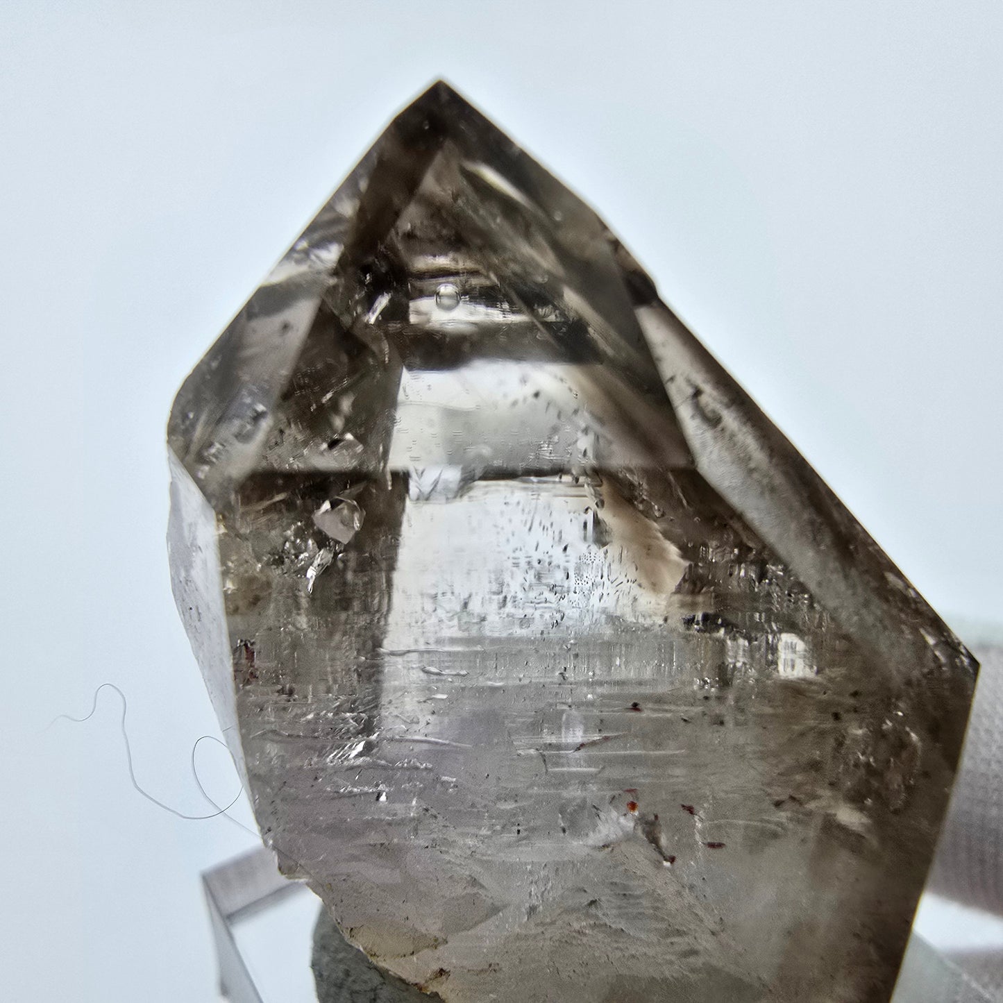 Enhydro Phantom Rauchquarz Zepter Spitze 1x Blase Goboboseb, Namibia 39*29*22mm