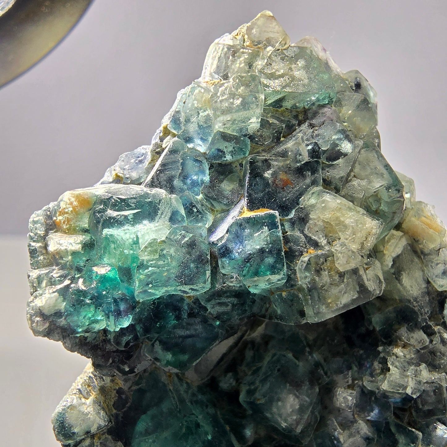 Rares cubes de fluorite fantôme zonaux, vert violet, Erongo, Namibie 75 x 53 x 15 mm 