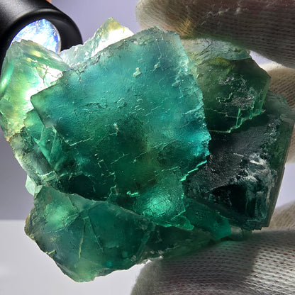 Rare spécimen de cube de fluorite fantôme, parqueté vert Okorusu, Namibie, 77 x 73 x 27 mm 
