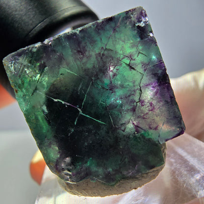 Phantom Fluorite cube parquetted, green purple Okorusu, Namibia 22*21*20mm 