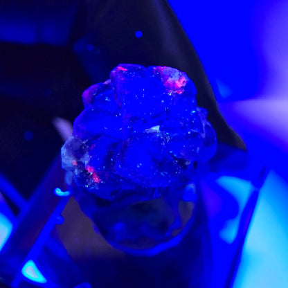 Cube de fluorite fantôme, spécimen de tourmaline scholle muscovite, Erongo, Namibie, 23 x 14 x 13 mm 
