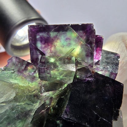 Seltene Phantom Fluorit Würfel Stufe grün lila zonal Okorusu Namibia 63*53*38mm