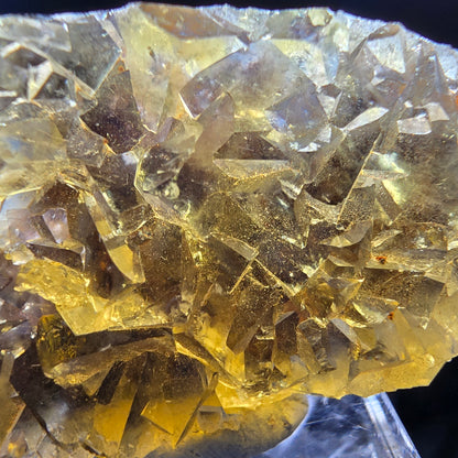 Honey Pocket Phantom Fluorite stage jaune bleu Okorusu namibie 50*28*14mm collection