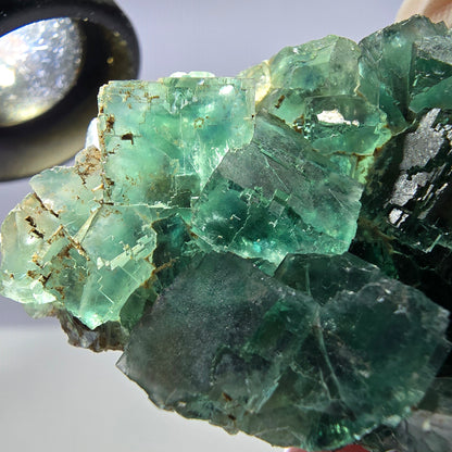Spécimen de cube de fluorite fantôme transparente, vert parqueté, Okorusu, Namibie, 57 x 44 x 19 mm 