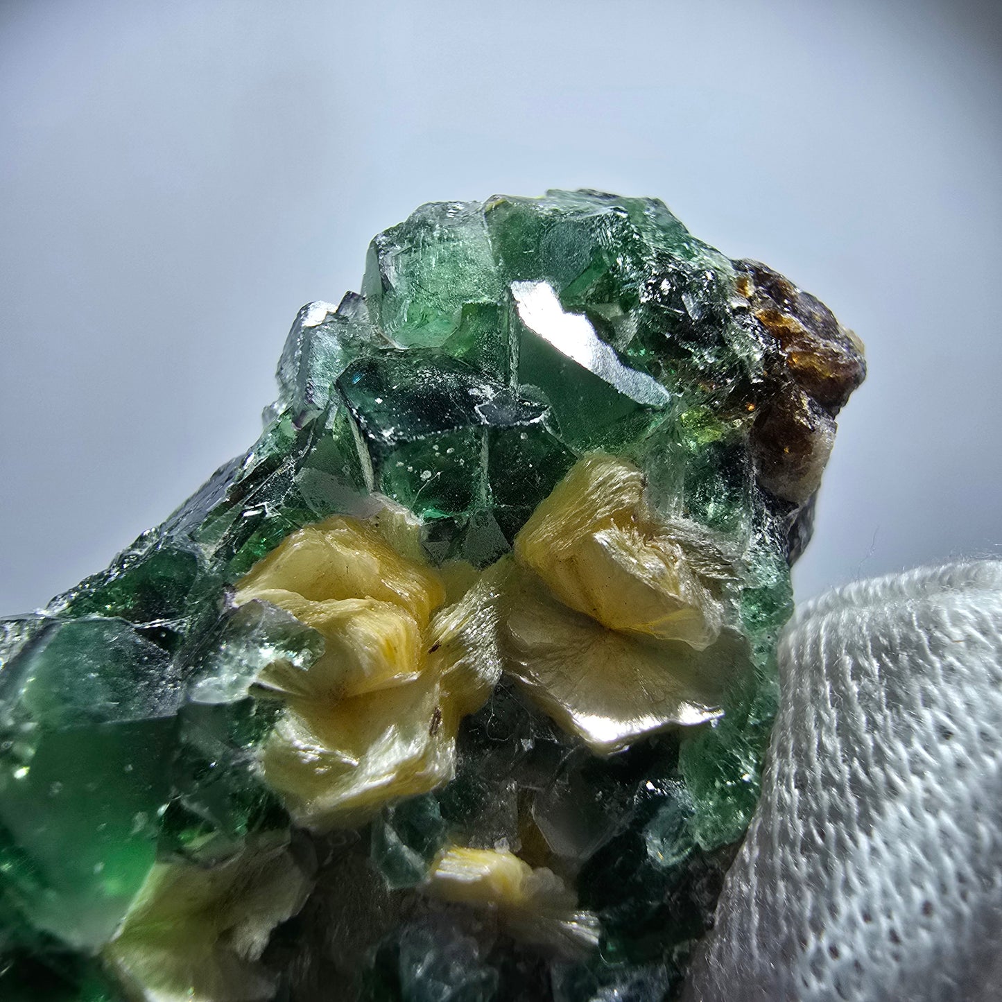 Rare Phantom Fluorite Cubes, Muscovite Specimen Erongo, Namibia 51*31*24mm 