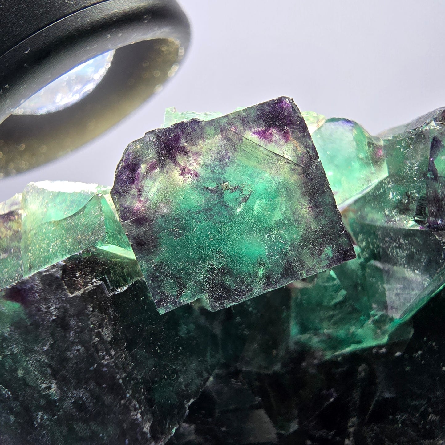 Grand spécimen de cube de fluorite fantôme, vert violet Okorusu Namibie 99*74*32mm 