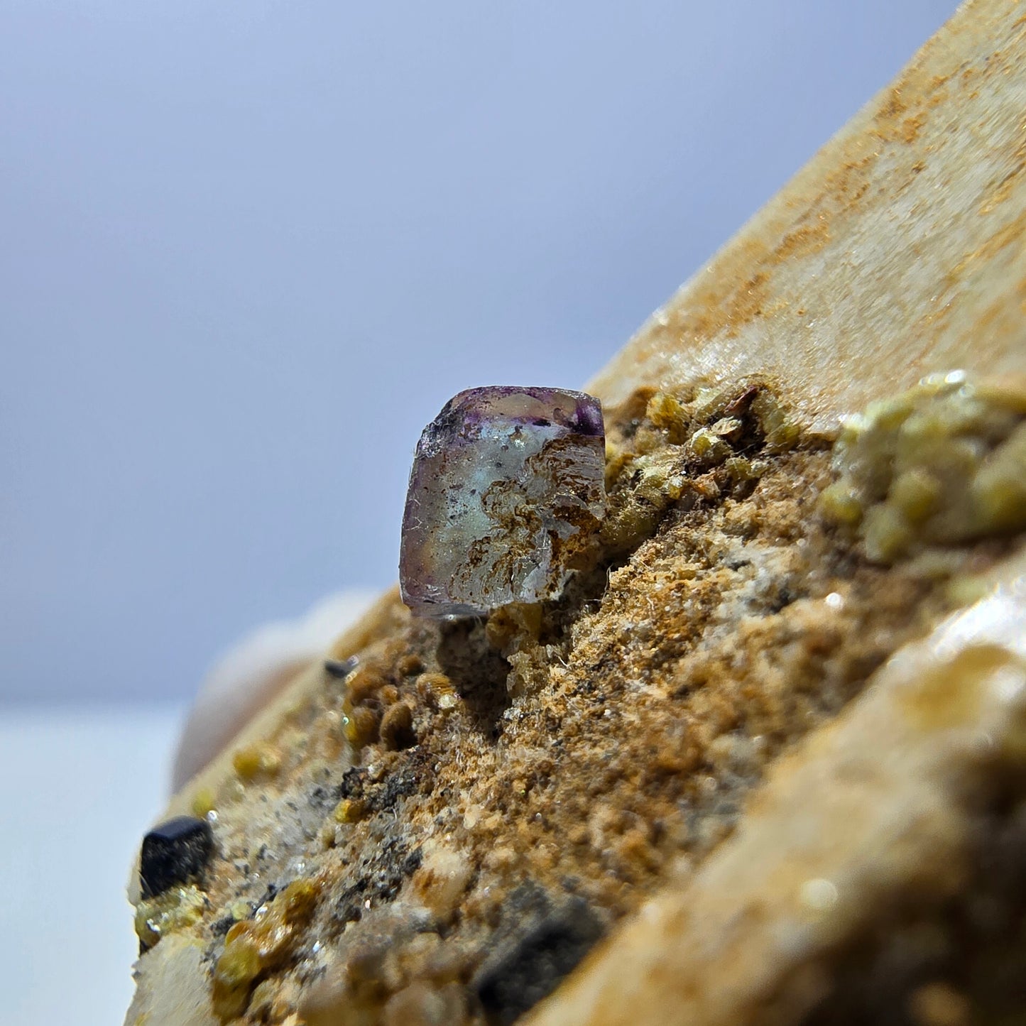 Cubes rares de fluorite, orthoclase, tourmaline schorl, Erongo, Namibie, 41*22*14 mm 