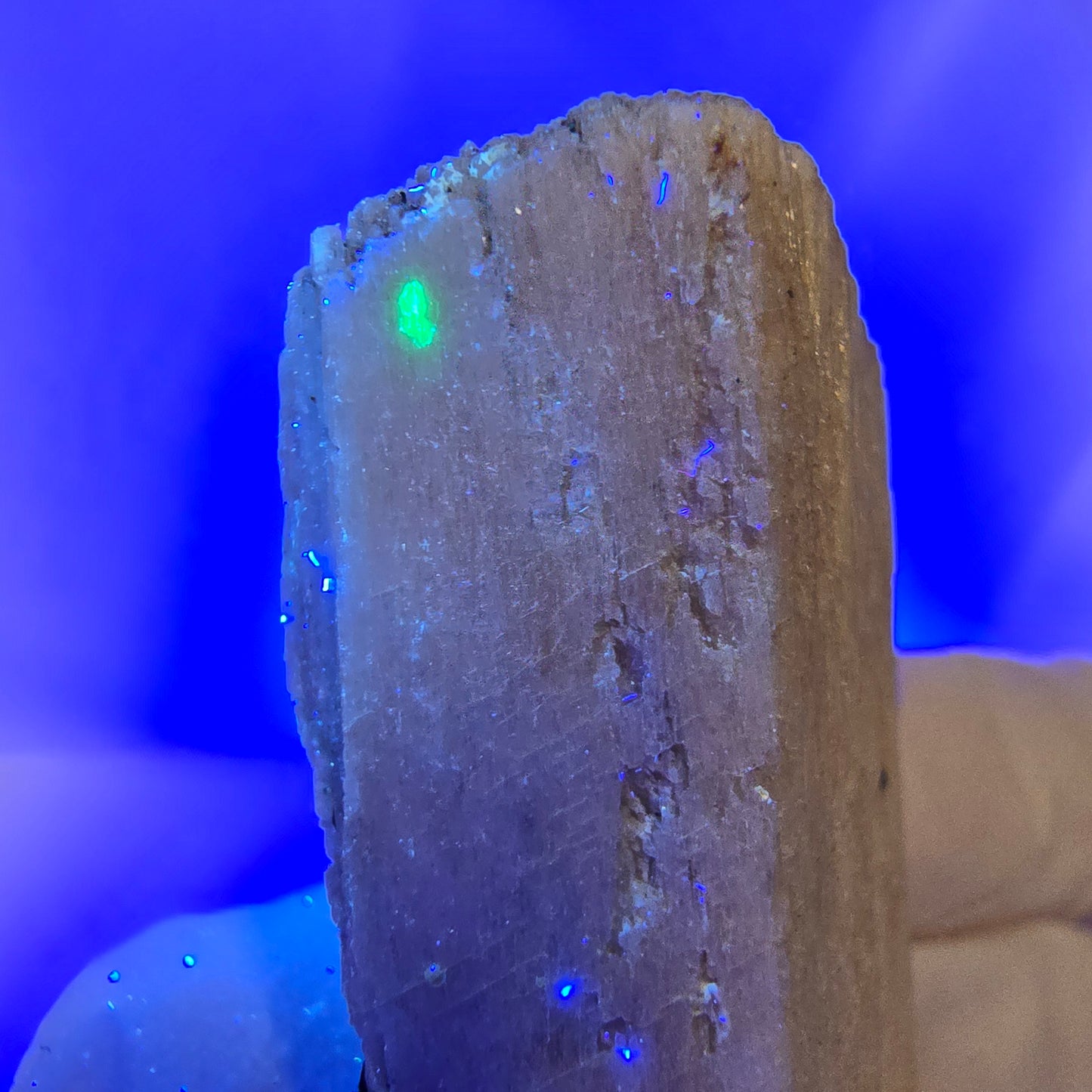 Spécimen rare d'opale hyalite, d'orthose et de tourmaline schorl provenant d'Erongo, en Namibie, 56*26*17 mm 