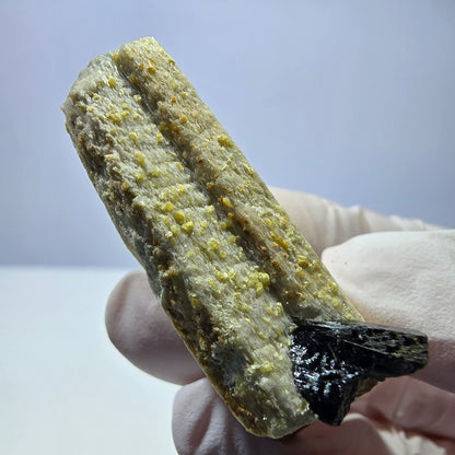 Rare spécimen d'orthose et de tourmaline schorl, Erongo, Namibie, 46*24*15 mm 