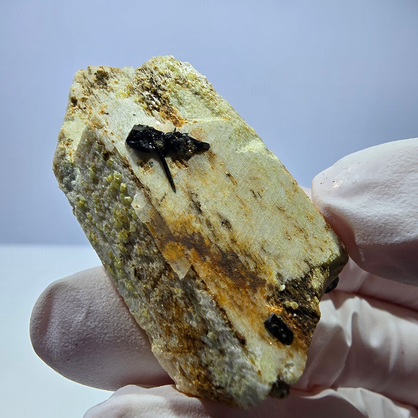 Rare spécimen d'orthose et de tourmaline schorl, Erongo, Namibie, 46*24*15 mm 