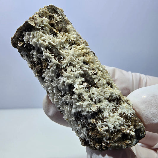 Seltene Schörl Turmalin, Hyalit, Orthoklas, Muskovit Stufe Erongo, Namibia 54*26*22mm